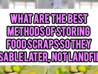 What Are the Best Methods for Storing Food Scraps So They Become Usable Later, Not Landfill