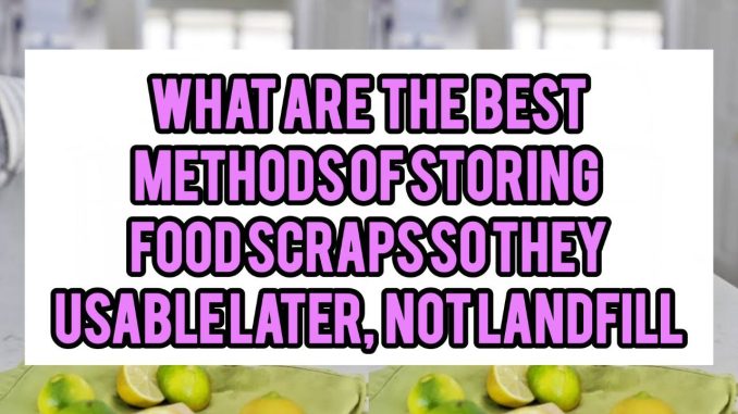 What Are the Best Methods for Storing Food Scraps So They Become Usable Later, Not Landfill What Are the Best Methods for Storing Food Scraps So They Become Usable Later, Not Landfill